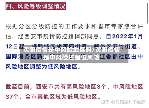 沈阳疫情是中风险地区吗/沈阳疫情是中风险还是低风险