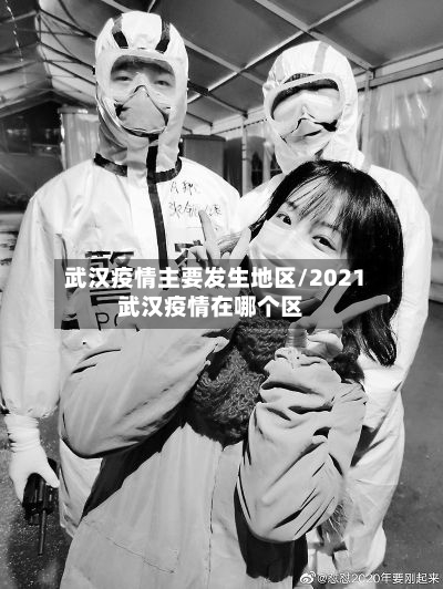武汉疫情主要发生地区/2021武汉疫情在哪个区