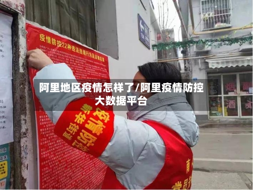 阿里地区疫情怎样了/阿里疫情防控大数据平台-第3张图片