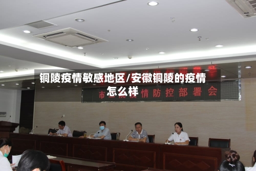 铜陵疫情敏感地区/安徽铜陵的疫情怎么样-第3张图片