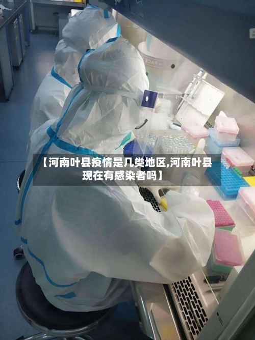 【河南叶县疫情是几类地区,河南叶县现在有感染者吗】-第2张图片