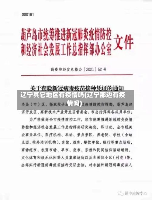 辽宁其它地区有疫情吗(辽宁那边有疫情吗)-第3张图片