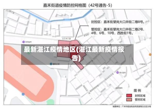 最新湛江疫情地区(湛江最新疫情报告)-第3张图片