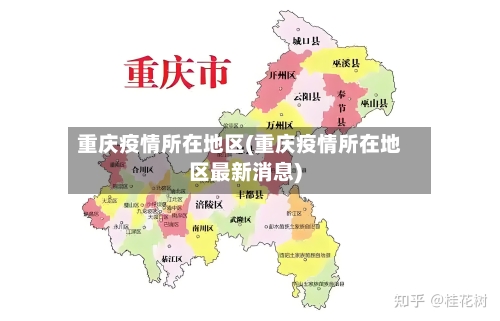 重庆疫情所在地区(重庆疫情所在地区最新消息)-第2张图片