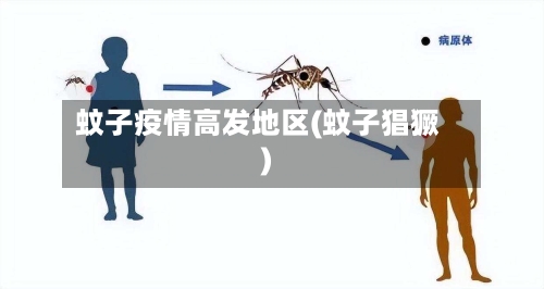 蚊子疫情高发地区(蚊子猖獗)