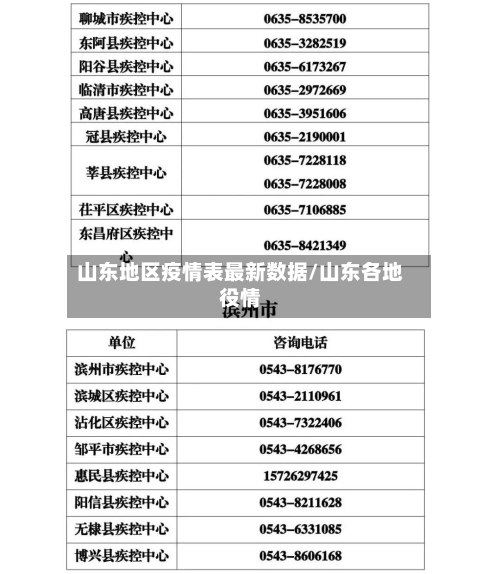 山东地区疫情表最新数据/山东各地役情-第3张图片