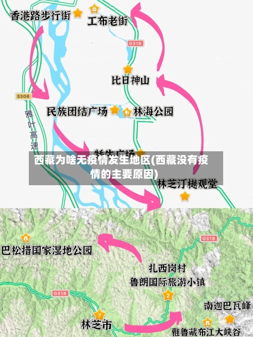 西藏为啥无疫情发生地区(西藏没有疫情的主要原因)-第3张图片