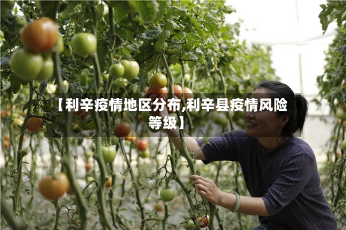 【利辛疫情地区分布,利辛县疫情风险等级】-第2张图片