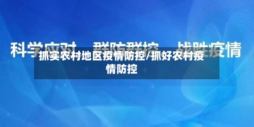 抓实农村地区疫情防控/抓好农村疫情防控