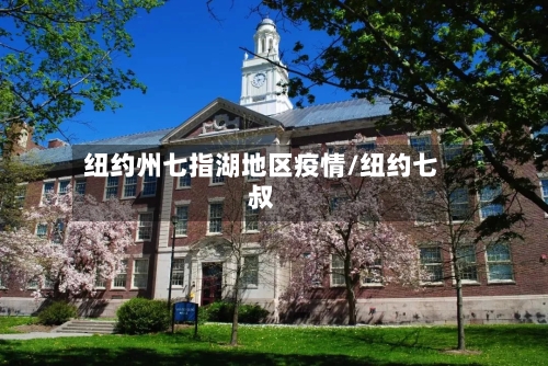 纽约州七指湖地区疫情/纽约七叔-第2张图片