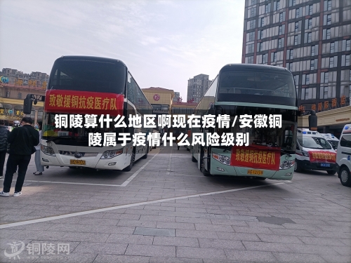 铜陵算什么地区啊现在疫情/安徽铜陵属于疫情什么风险级别-第2张图片