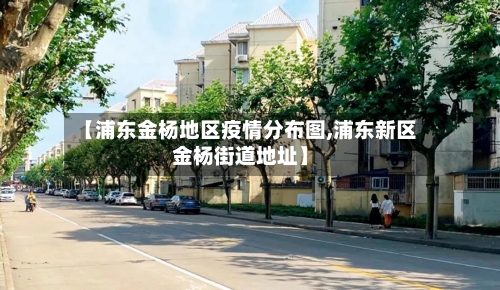 【浦东金杨地区疫情分布图,浦东新区金杨街道地址】-第3张图片