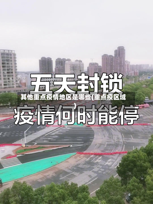 其他重点疫情地区是哪些(重点疫区域)