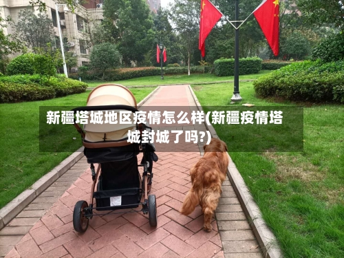 新疆塔城地区疫情怎么样(新疆疫情塔城封城了吗?)-第2张图片