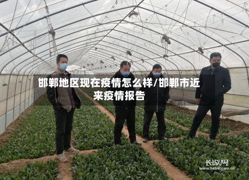 邯郸地区现在疫情怎么样/邯郸市近来疫情报告-第2张图片