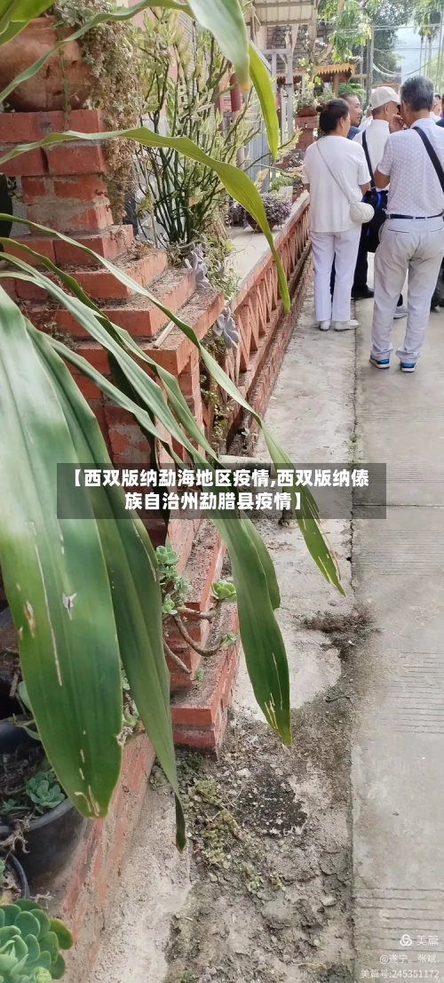 【西双版纳勐海地区疫情,西双版纳傣族自治州勐腊县疫情】-第2张图片