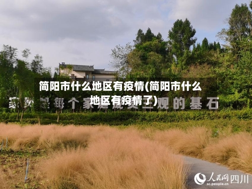 简阳市什么地区有疫情(简阳市什么地区有疫情了)