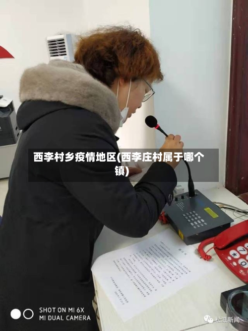 西李村乡疫情地区(西李庄村属于哪个镇)-第2张图片