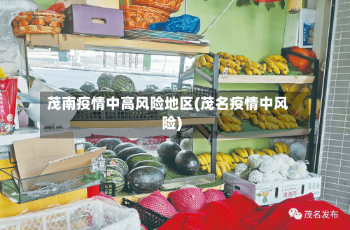 茂南疫情中高风险地区(茂名疫情中风险)-第3张图片