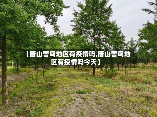 【唐山曹甸地区有疫情吗,唐山曹甸地区有疫情吗今天】