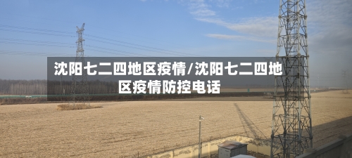 沈阳七二四地区疫情/沈阳七二四地区疫情防控电话-第3张图片