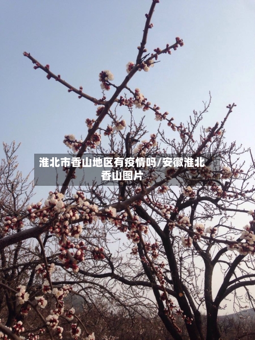 淮北市香山地区有疫情吗/安徽淮北香山图片