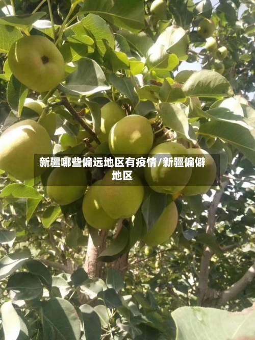 新疆哪些偏远地区有疫情/新疆偏僻地区