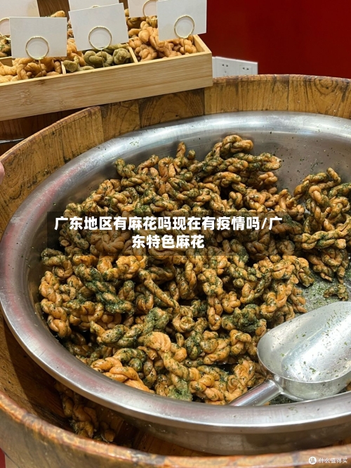 广东地区有麻花吗现在有疫情吗/广东特色麻花