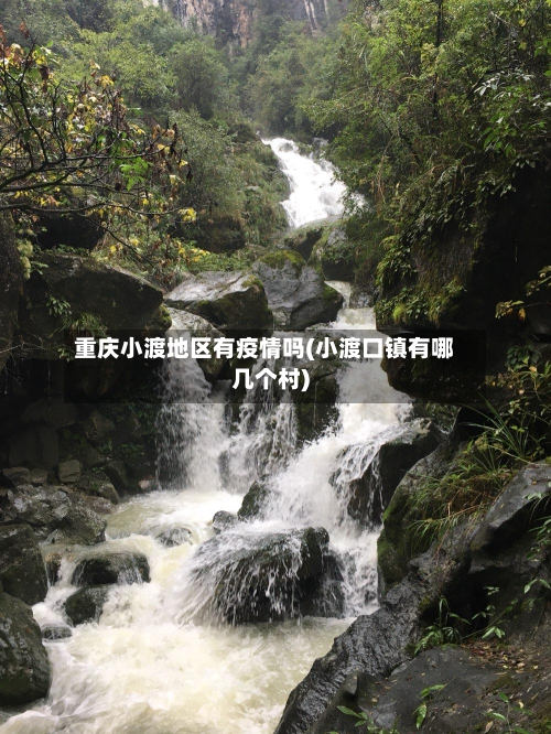 重庆小渡地区有疫情吗(小渡口镇有哪几个村)-第2张图片