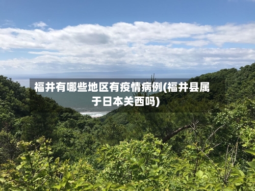 福井有哪些地区有疫情病例(福井县属于日本关西吗)-第3张图片