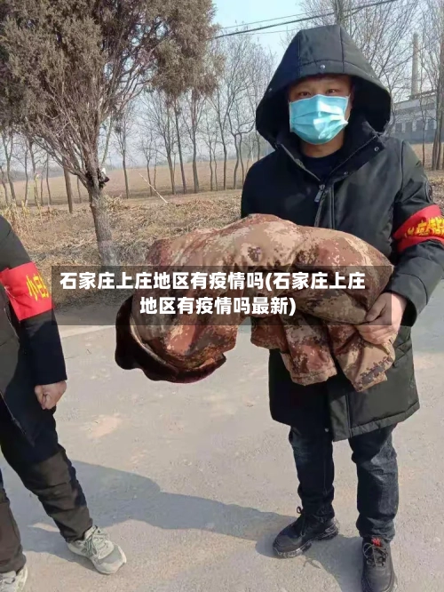 石家庄上庄地区有疫情吗(石家庄上庄地区有疫情吗最新)-第2张图片