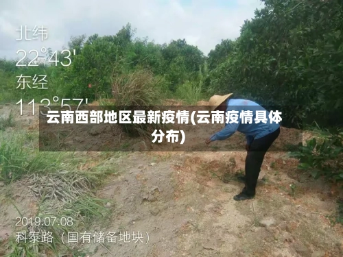 云南西部地区最新疫情(云南疫情具体分布)-第2张图片