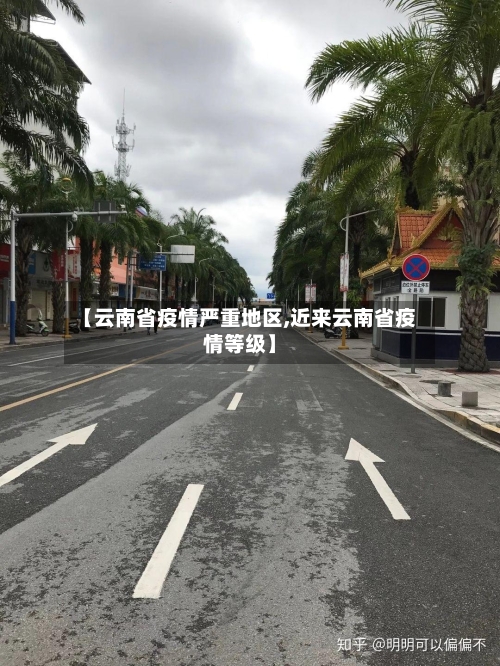 【云南省疫情严重地区,近来云南省疫情等级】-第2张图片