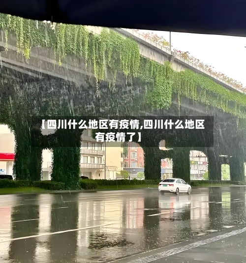 【四川什么地区有疫情,四川什么地区有疫情了】