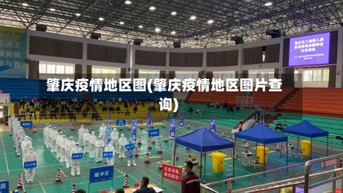 肇庆疫情地区图(肇庆疫情地区图片查询)