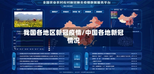 我国各地区新冠疫情/中国各地新冠情况