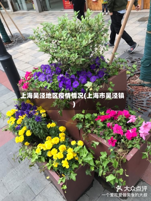 上海吴泾地区疫情情况(上海市吴泾镇)