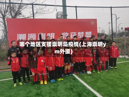 哪个地区支援崇明岛疫情(上海崇明ym外援)-第2张图片