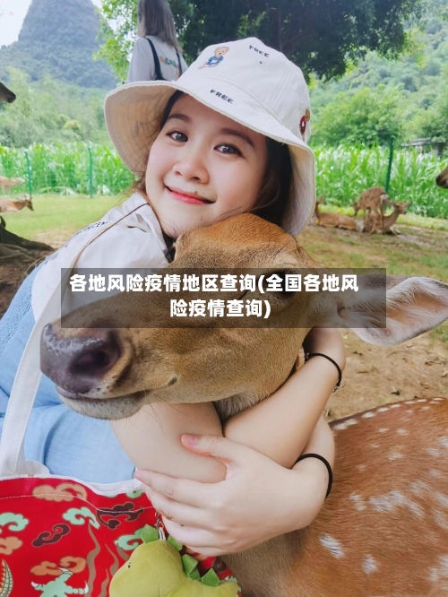各地风险疫情地区查询(全国各地风险疫情查询)-第2张图片