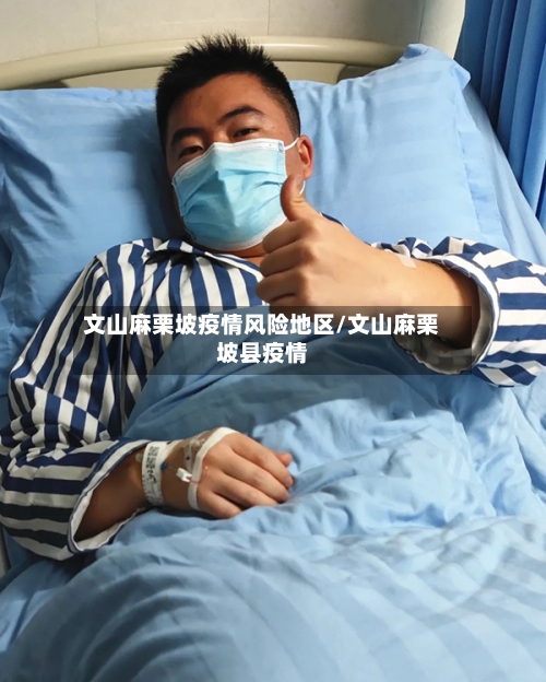 文山麻栗坡疫情风险地区/文山麻栗坡县疫情