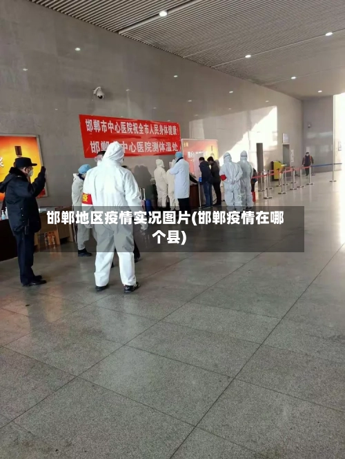 邯郸地区疫情实况图片(邯郸疫情在哪个县)-第3张图片