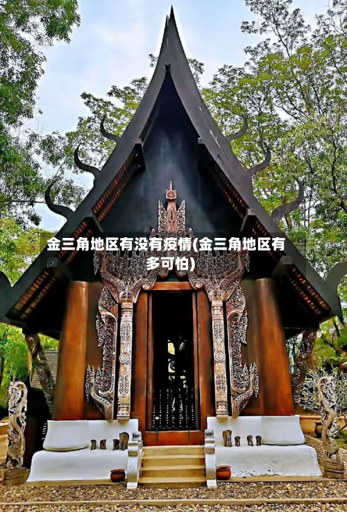 金三角地区有没有疫情(金三角地区有多可怕)-第2张图片