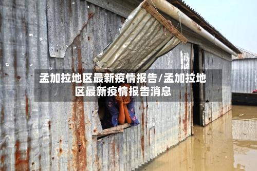孟加拉地区最新疫情报告/孟加拉地区最新疫情报告消息-第2张图片