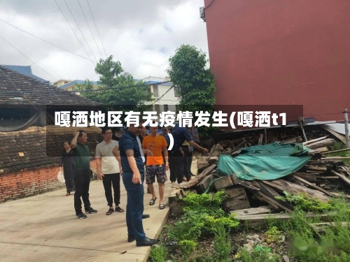 嘎洒地区有无疫情发生(嘎洒t1)