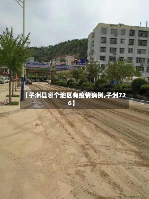 【子洲县哪个地区有疫情病例,子洲726】-第2张图片
