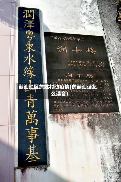 潮汕地区詹姓村防疫情(詹潮汕话怎么读音)-第2张图片