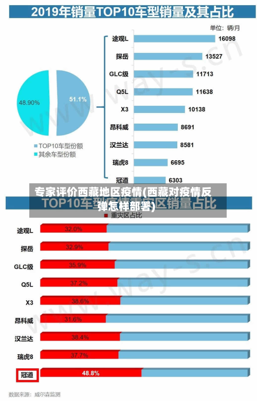 专家评价西藏地区疫情(西藏对疫情反弹怎样部署)-第2张图片