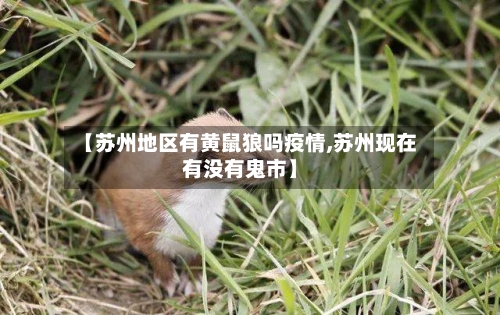 【苏州地区有黄鼠狼吗疫情,苏州现在有没有鬼市】