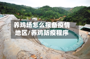 养鸡场怎么报备疫情地区/养鸡防疫程序