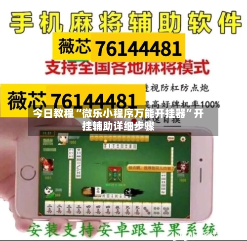 今日教程“微乐小程序万能开挂器	”开挂辅助详细步骤-第3张图片